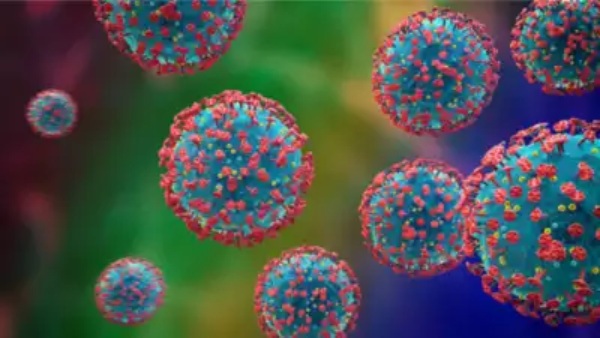 How many members died in china because of the HMPV virus Malaysia government strict warnings