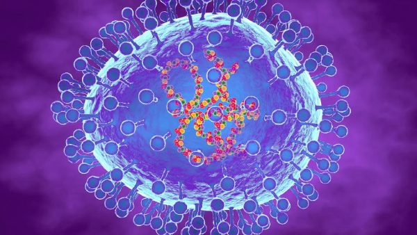 11 HMPV virus cases reported in hyderabad