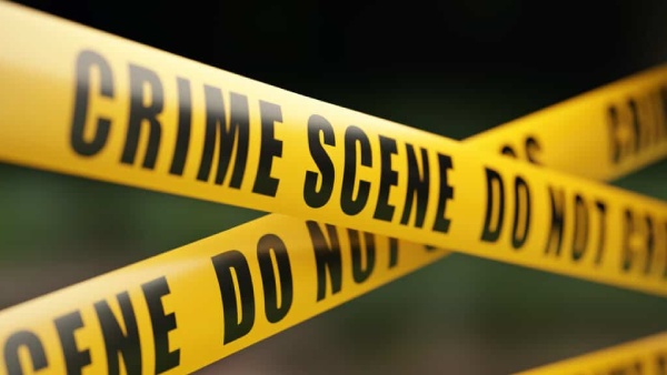 Mother in law murder her daughter in law why because