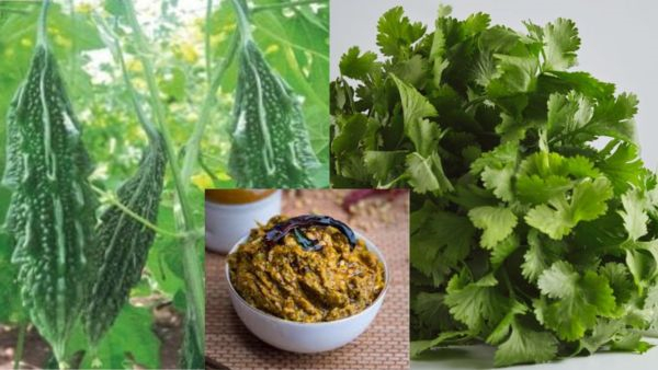 kakarakaya kothimeera karam recipe in telugu