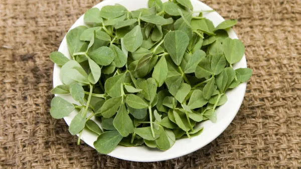 fenugreek leaves health benefits and dissolves cholesterol easily