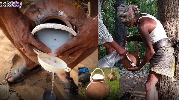 health benefits of thati kallu and difference between kallu and neera