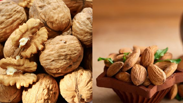 almonds or walnut which one is better for memory almonds or walnut which one is better for memory