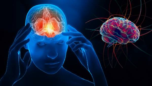 Harvard study reveals this superfood reduces dementia risk and boosts brain health Harvard study reveals this superfood reduces dementia risk and boosts brain health