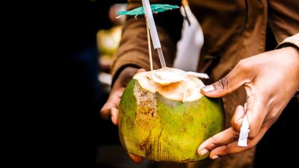 Are you drinking coconut water in heat Know these before u do Are you drinking coconut water in heat Know these before u do