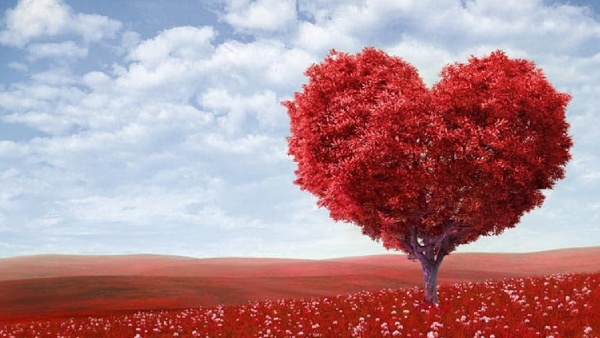 Are you planning to go oyo to on this valentines day know these things before you go