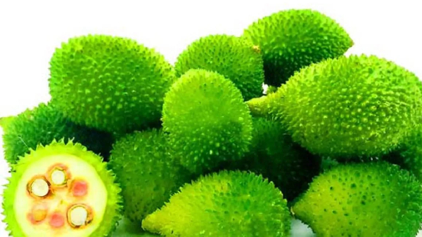 health benefits of kantola boda kakarakaya is better than non veg in terms of nutrition and protein