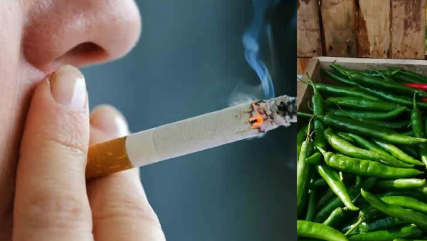 Smokers can avoid lung cancer if they eat green chilies know truth behind this