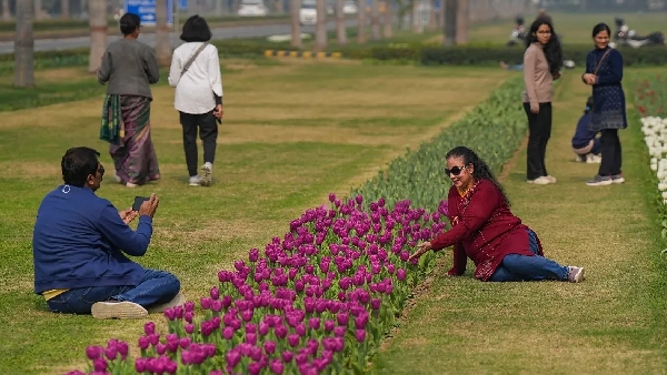 valentines day 2025 celebration ideas for singles