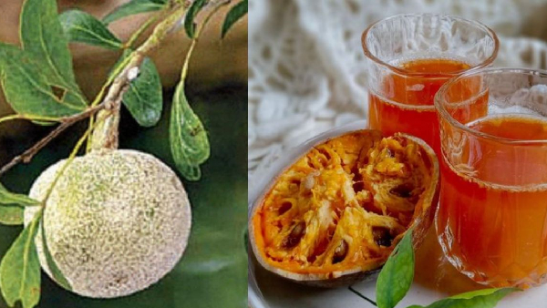 Best juice to drink in summer know wood apple benefits