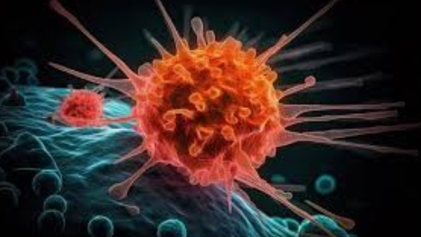 These products from the kitchen may cause cancer Reason explained here