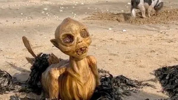 Mysterious creature discovered in the margaret beach in england it seems dangerous
