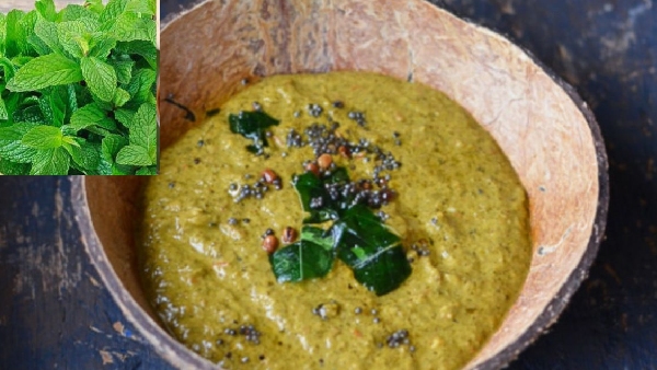 pudina pachadi recipe see how to make mint chutney recipe in telugu