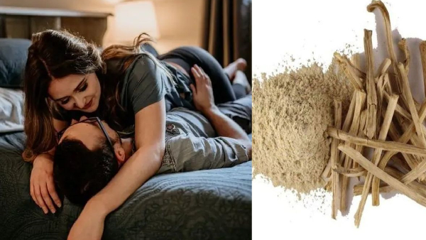 amazing health benefits of shatavari this ayurvedic herb increase sperm count solves fertility issues