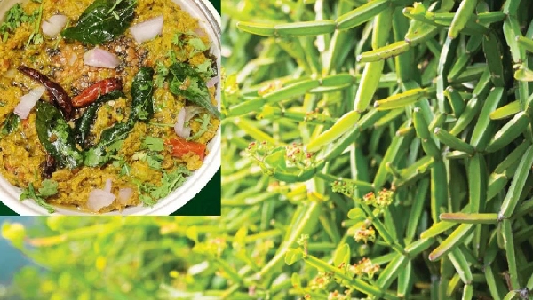 healthy and tasty nalleru kaadala pachadi recipe in telugu