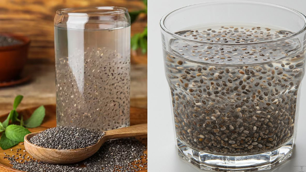 Are you eating chia seeds dr joseph salhab shares shocking secret