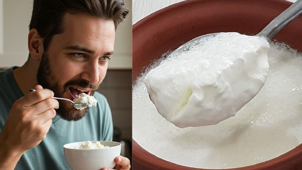 Beat the heat with this superfood see the amazing benefits of eating curd daily in summer Beat the heat with this superfood see the amazing benefits of eating curd daily in summer