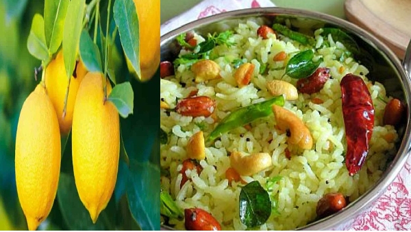 dabbakaya pulihora recipe in telugu