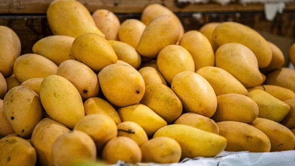 Don t do these mistakes while eating mangos know here what they are