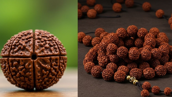 Rudraksha secrets rules to know before and after wearing