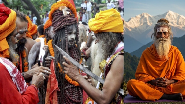 Who is rishi and sanyasi and yogi and sadhu what are the differences Who is rishi and sanyasi and yogi and sadhu what are the differences