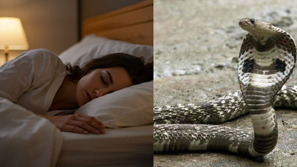 Snakes in Dreams Is it Kaal Sarp Dosh in Your Horoscope