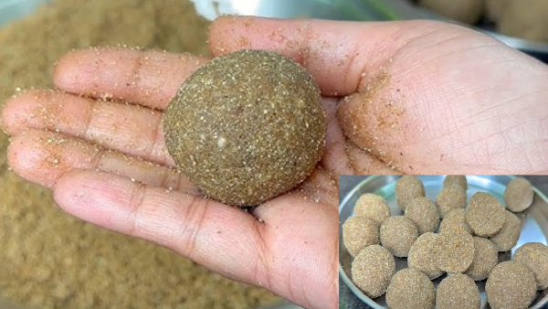 Healthy and Tasty Sajja Laddu Recipe in Telugu