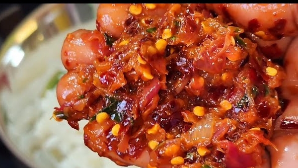 village style super tasty traditional pachhadi recipe in telugu