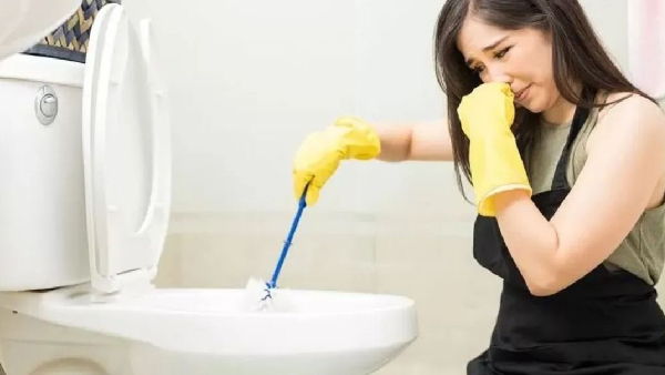 Eco Friendly And Effective Clean Your Toilet With Cool Drinks