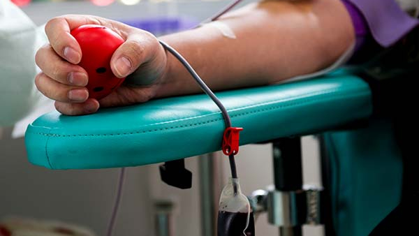 World Blood Donor Day 2025 Know the Rules Before You Donate