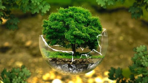 World environment day 2025 thursday june 5 inspiring wishes quotes and messages in telugu