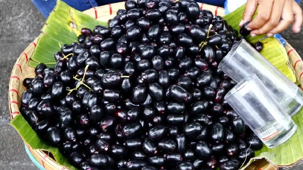 Jamun Nature s Miracle Fruit for Diabetic Patients