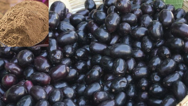 Unlock the Power of Jamun Seed Powder for Your Health