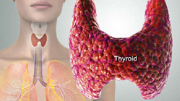 Struggling with Thyroid Issues Try This Supplement