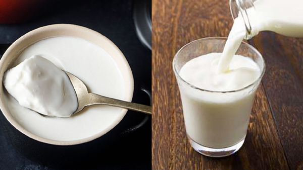Ayurveda s Secret Foods You Should Never Combine with Curd