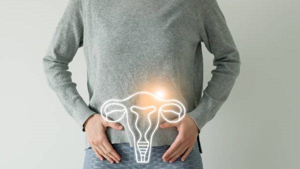 Empowering Women Understanding Endometrial Cancer Risks and Symptoms