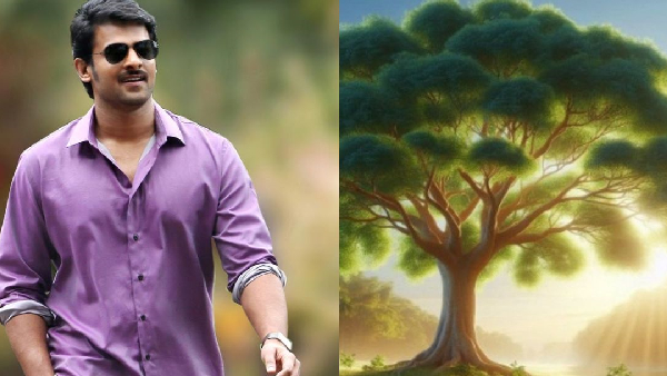 Pan india star pabhas gets ancient kalpavriksha for new home