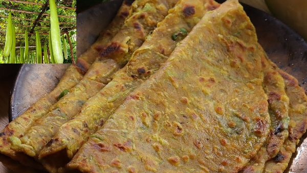 Super Healthy Sorakaya Chapathi Recipe in Telugu