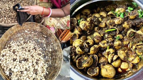 Mystery of Rugda The Vegetarian Mutton Born from Thunderstorms