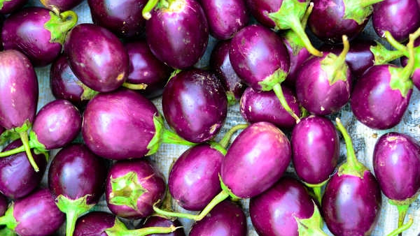 From Market to Kitchen Your Guide to Selecting Top Quality Brinjals