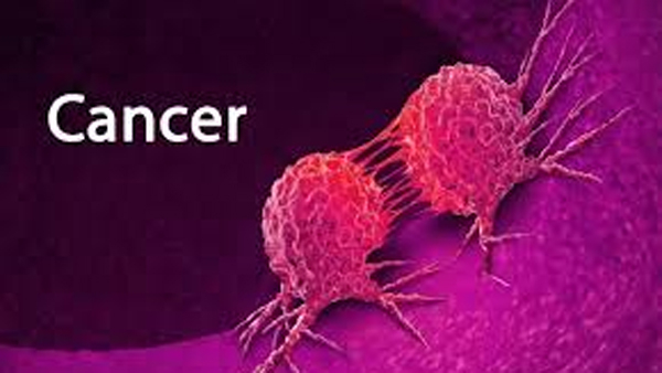 Family History of Cancer Does It Mean You ll Get It