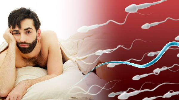 Cardamom The King of Flavour and Health