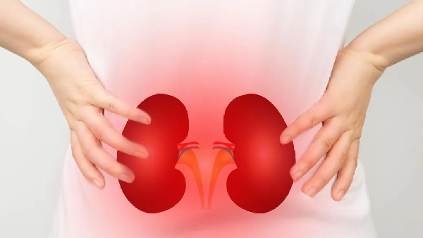 Kidney Health is in Your Hands The Best Natural Drinks to Detox Your Kidneys