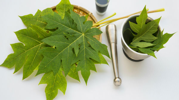 The Hidden Power of Papaya Leaves A Natural Remedy for Many Ailments