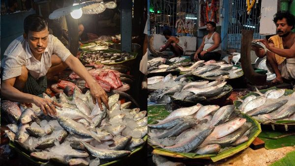 Is Pond Fish or Sea Fish Better for Your Health Dr Mukharjee s Guide to Choosing the Right Fish