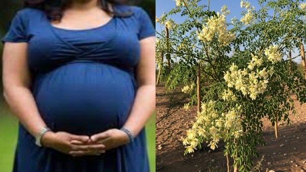 The Superfood You ve Never Heard Of Top 5 Reasons to Eat Moringa Flowers in Pregnancy