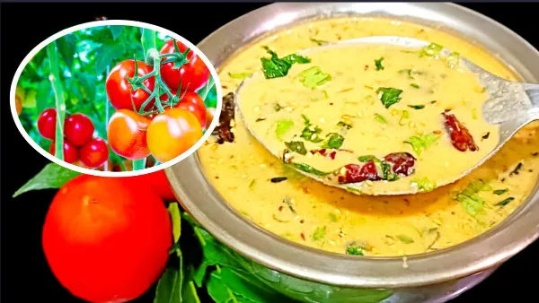 Tomato Raita or Thambuli A Must Try Dish for Every Foodie