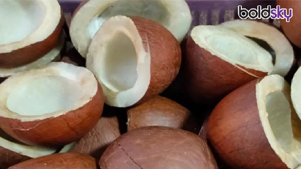 Enemy of Bad Cholesterol Friend of Good Health The Miracles of Dry Coconut Enemy of Bad Cholesterol Friend of Good Health The Miracles of Dry Coconut