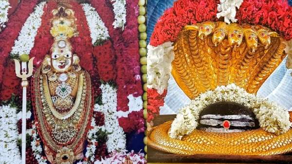 Srisailam s Hidden Secrets What Every Devotee Should Know Before Visiting