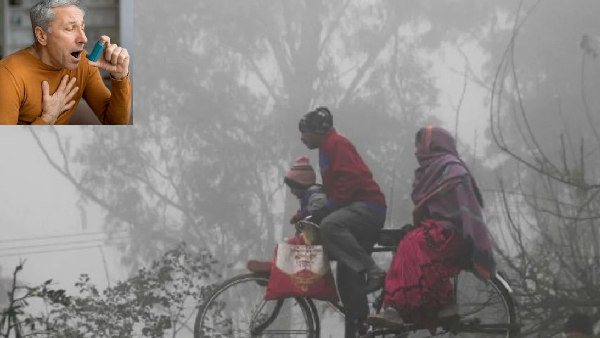 Winter Warning Essential Survival Guide for Asthma Patients Winter Warning Essential Survival Guide for Asthma Patients